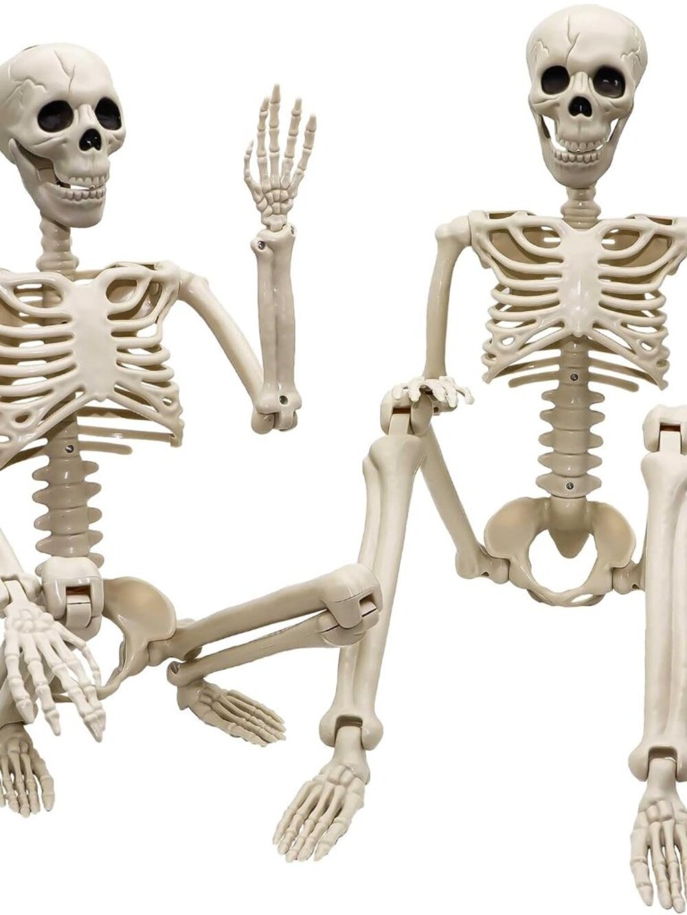 2 Pack 36"Halloween Skeleton - 3 ft Life Size Human Skeleton with Full Body Posa